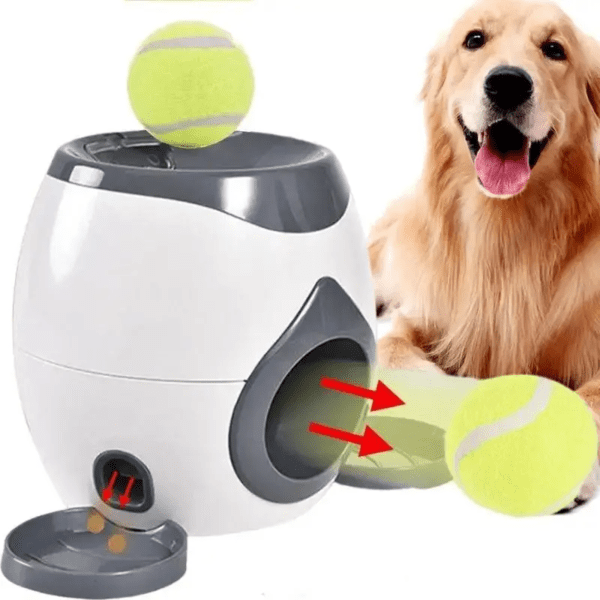 2 Balls Launcher Toy for Dogs - Image 2