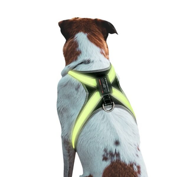 Pet Supplies: LED Gear, Chest Braces & Collars - Image 6