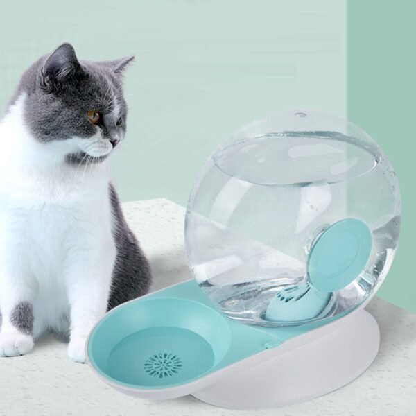 Pet Water Dispenser