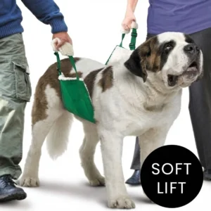 Soft Quick Lift