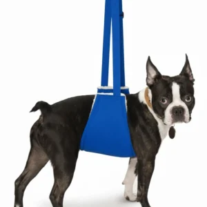Alternative view of Soft Quick Lift