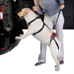 Alternative view of Total Pet Health Lift & Go Lead