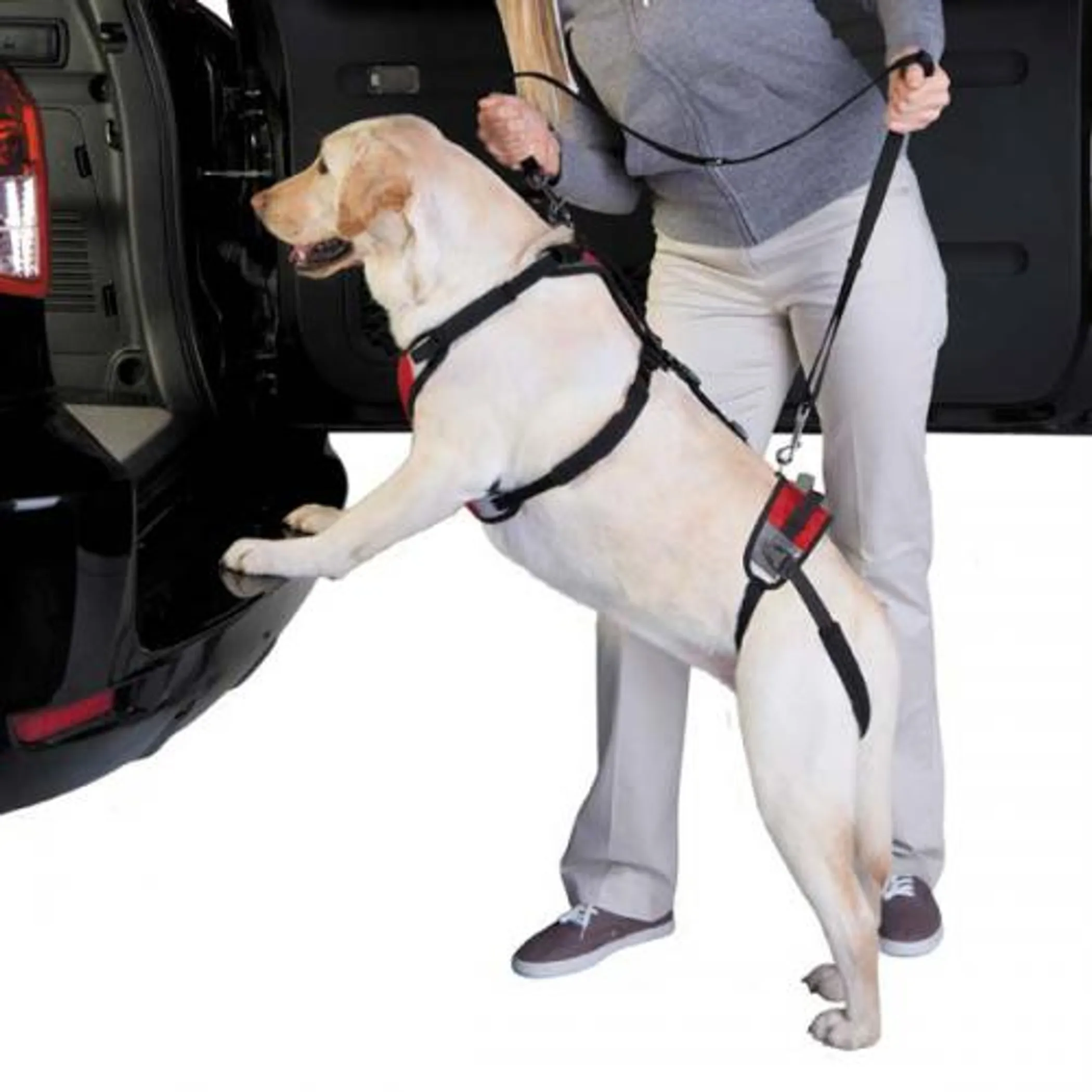 Total Pet Health Lift & Go Lead - Image 2