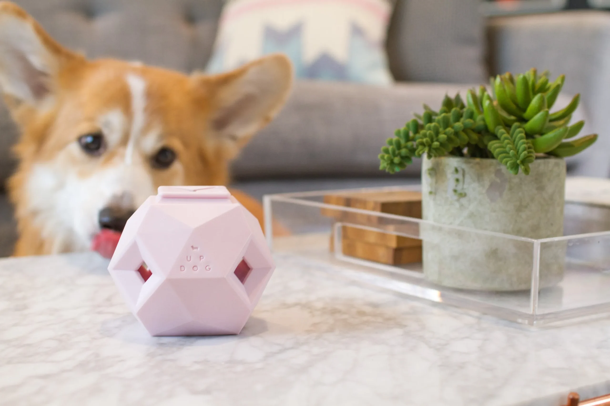 The Odin - Modern Treat Dispensing Dog Puzzle - Image 2