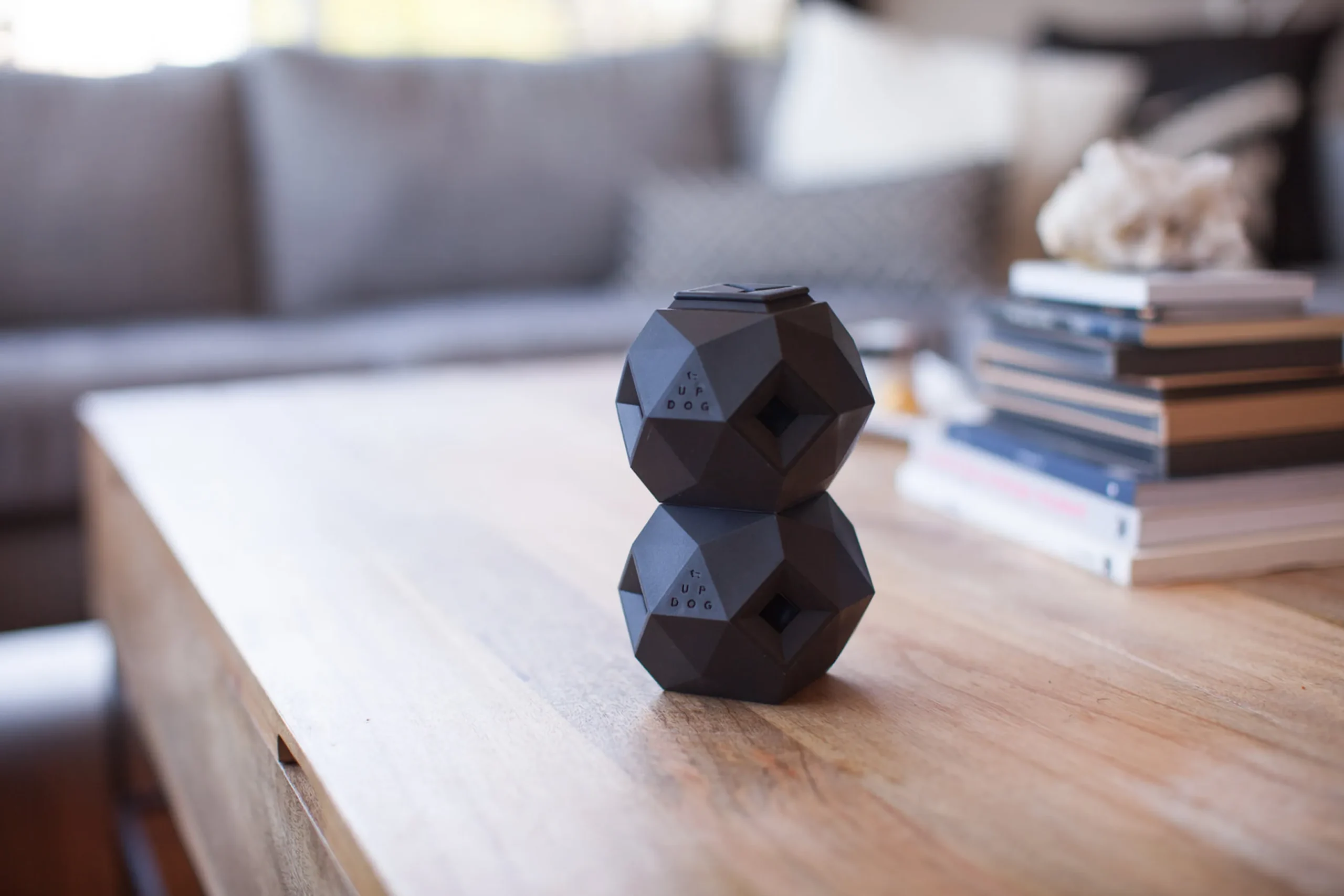 The Odin - Modern Treat Dispensing Dog Puzzle - Image 3