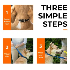 Alternative view of Canny Colossus No-Pull Dog Head Collar Gentle & Humane Leash Training Aid