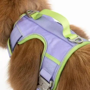 Alternative view of Lavender Garden Ultimate Dog Harness