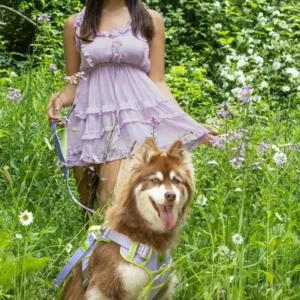 Lavender Garden Ultimate Dog Harness - Image 3