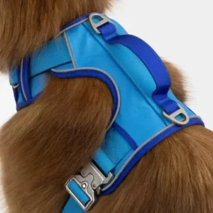 Alternative view of Dockside Adventures Ultimate Harness