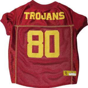 Pet Jersey