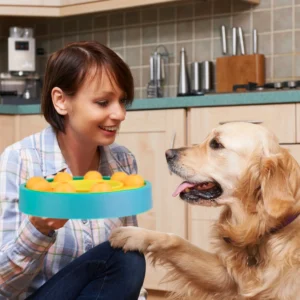 Alternative view of Dog Puzzle Food Feeder Slow Feeding Bowl