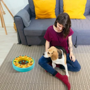 Dog Puzzle Food Feeder Slow Feeding Bowl - Image 3
