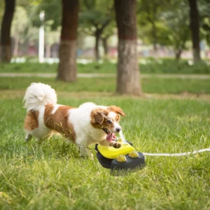 Alternative view of Dog Water Fountain Multifunctional Automatic Pet