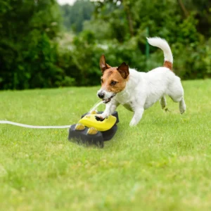 Dog Water Fountain Multifunctional Automatic Pet - Image 3