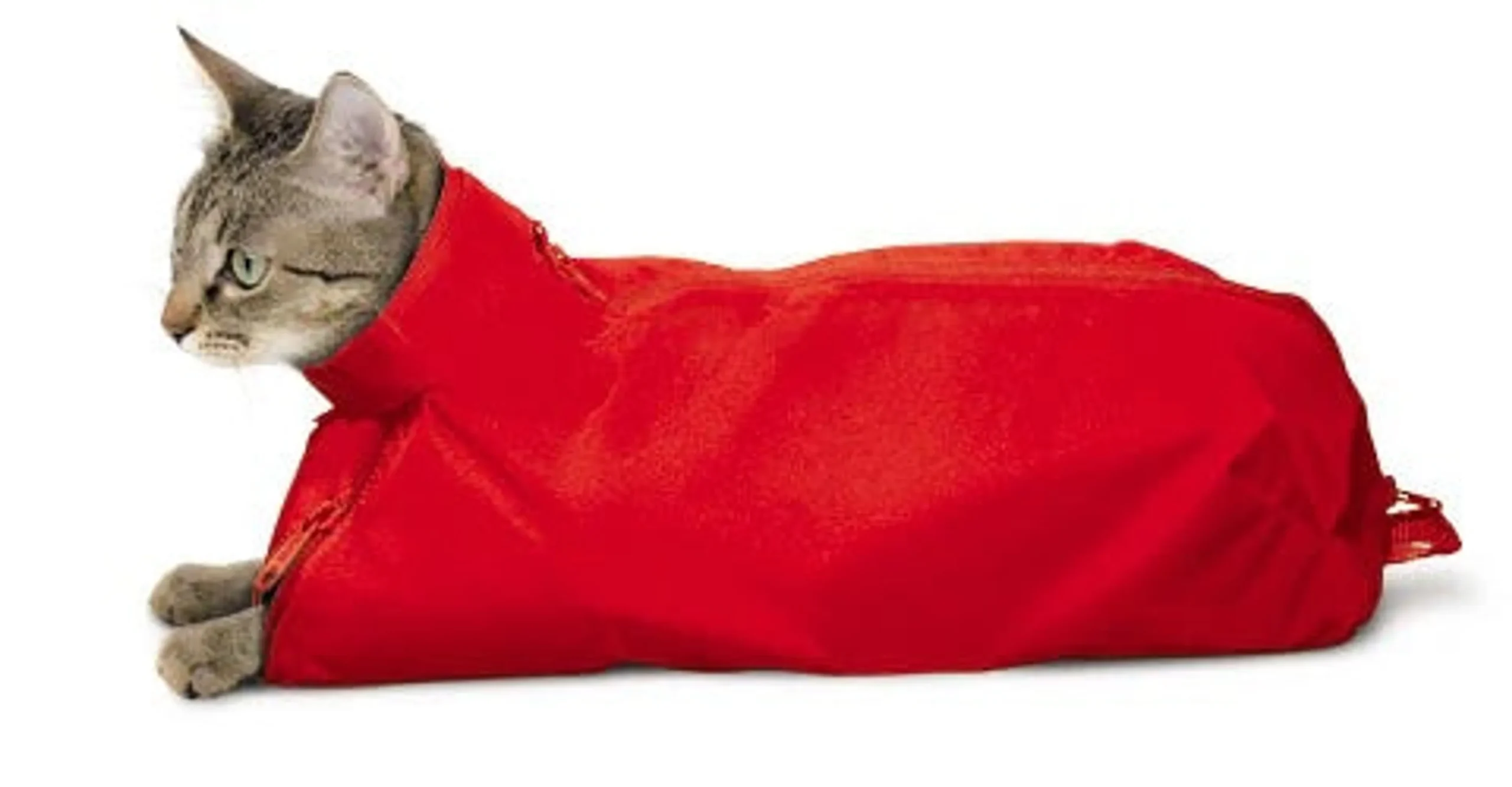 Original Cat Sack