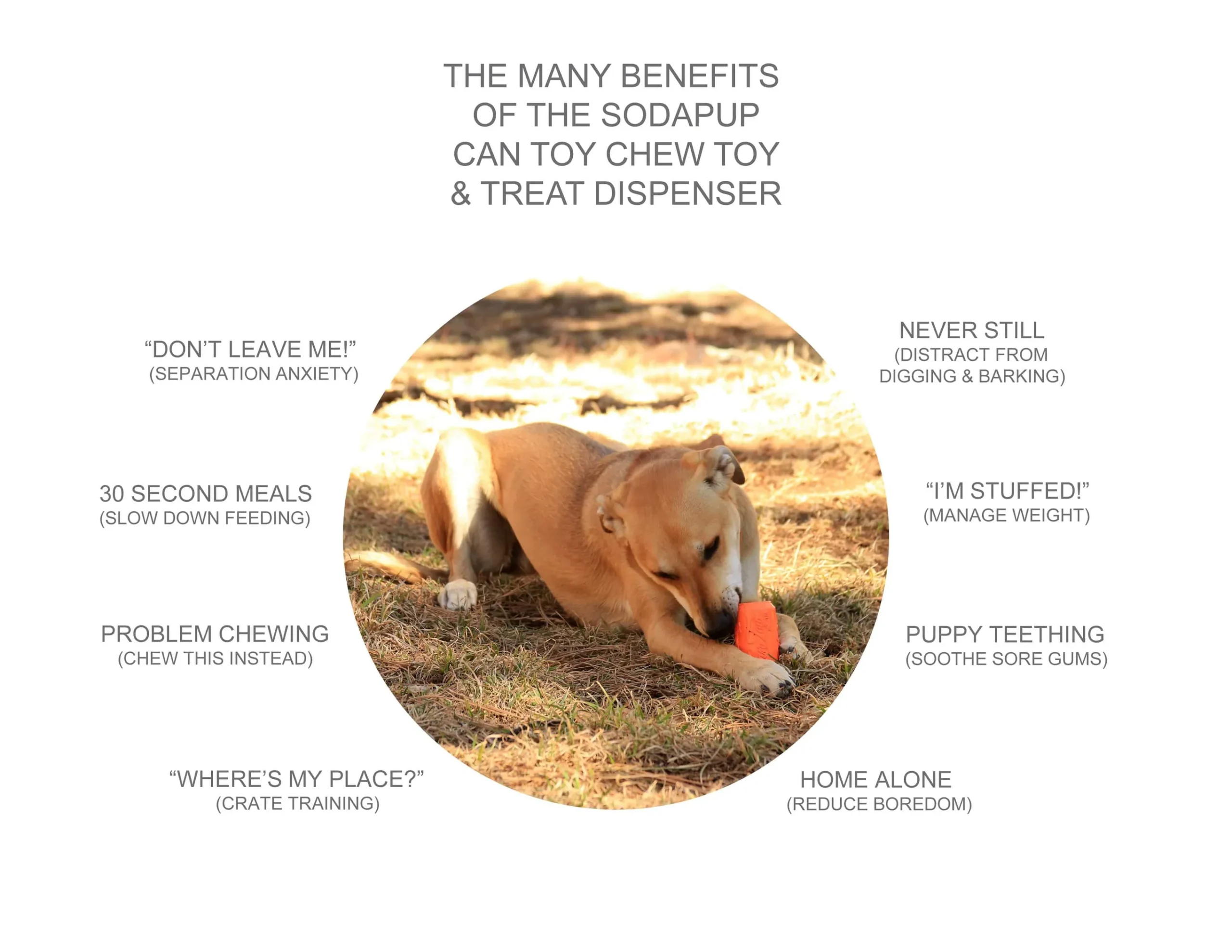 SP Can Toy Durable Rubber Chew Toy & Treat Dispenser - Image 4
