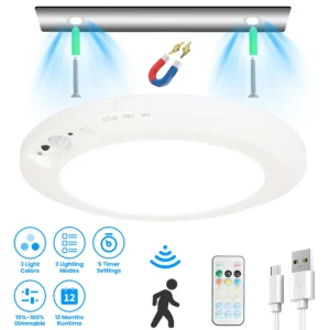 Magnetic Motion Sensor Ceiling Light - Image 4